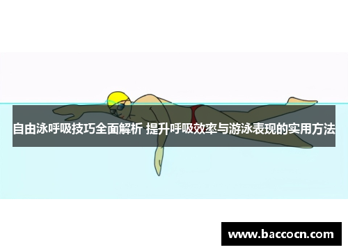 自由泳呼吸技巧全面解析 提升呼吸效率与游泳表现的实用方法